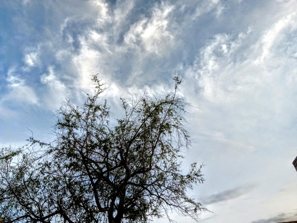 ranjhaa7im's tweet photo. Beautiful weather!
Shot on #Nokia5Plus
#shotonnokia
Nokia 5.1 Plus
@NokiaMobile @Nokiapoweruser @NokiamobBlog @NokiamobileIN @NokiaPakistan @nokia @sarvikas https://t.co/a8rx8oZy8e