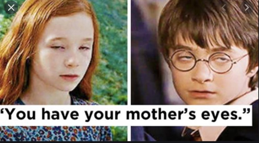 Harry Potter Memes Part 27 