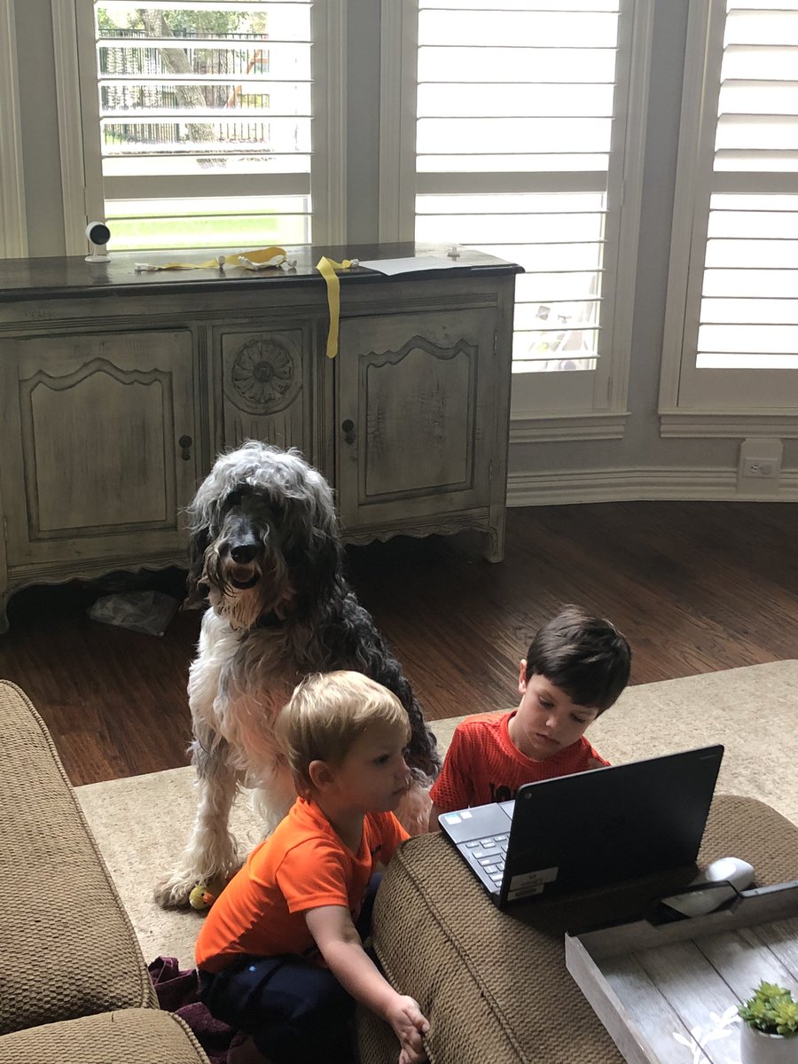 Julie Patterson tweet media