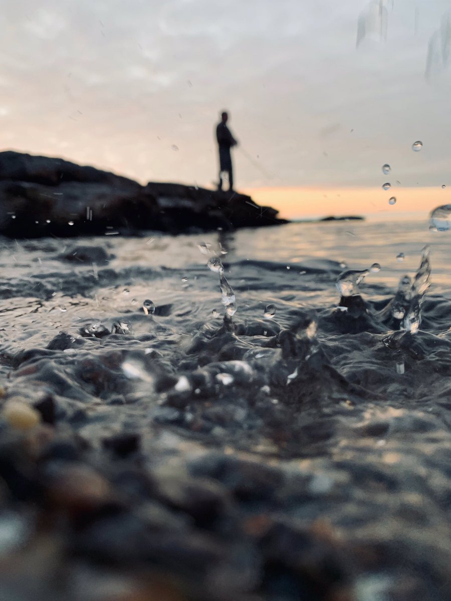 Rebel_Charters's tweet image. Get out and go shoreline fishing !