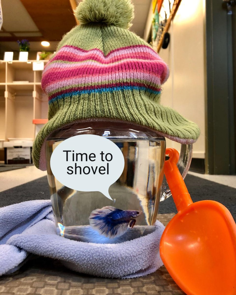 Hi daycare friends! Lea is getting ready for the Easter bunny to arrive. First on the list is to shovel the walkway. Comment below with how you are getting ready for Easter.