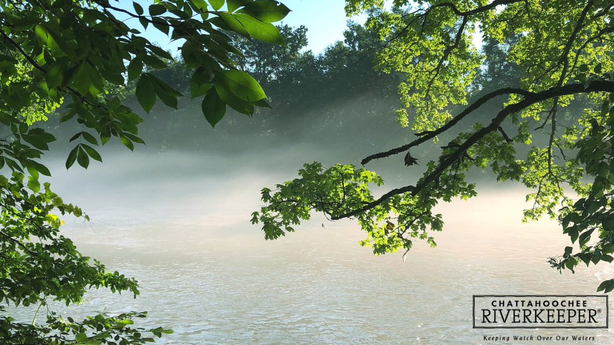 CRKeeper's tweet photo. With no shortage of distractions, working from home can make anyone feel like they just need to get outside. Bring nature indoors with our river-themed Zoom backgrounds! Simply save these images and upload them to Zoom under "add virtual background." https://t.co/AbzaYzu8rB