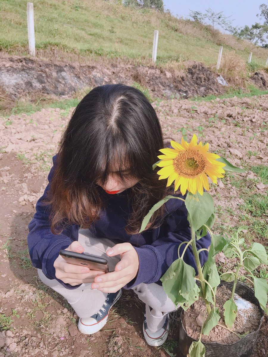 buithuha95tb's tweet photo. #sunflower https://t.co/eg3zSezlVD
