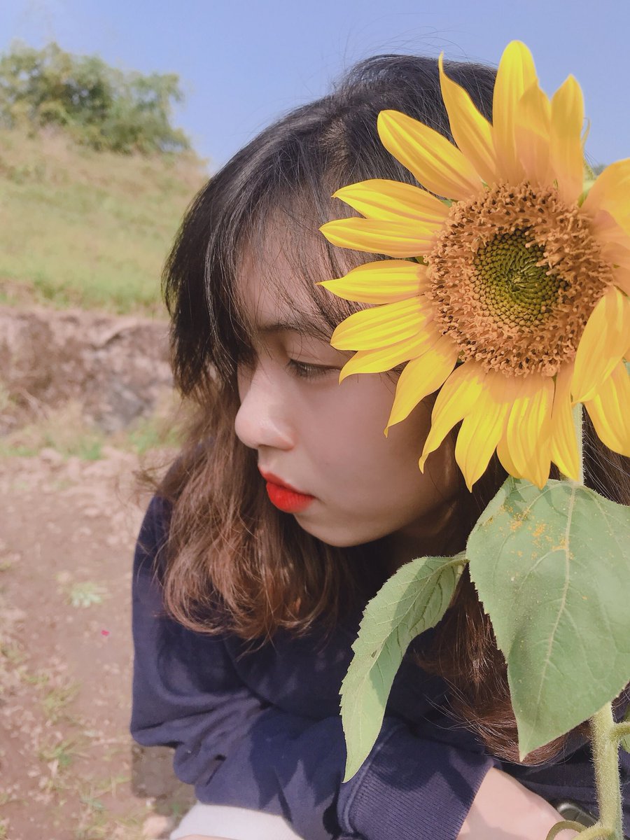 buithuha95tb's tweet photo. #sunflower https://t.co/eg3zSezlVD