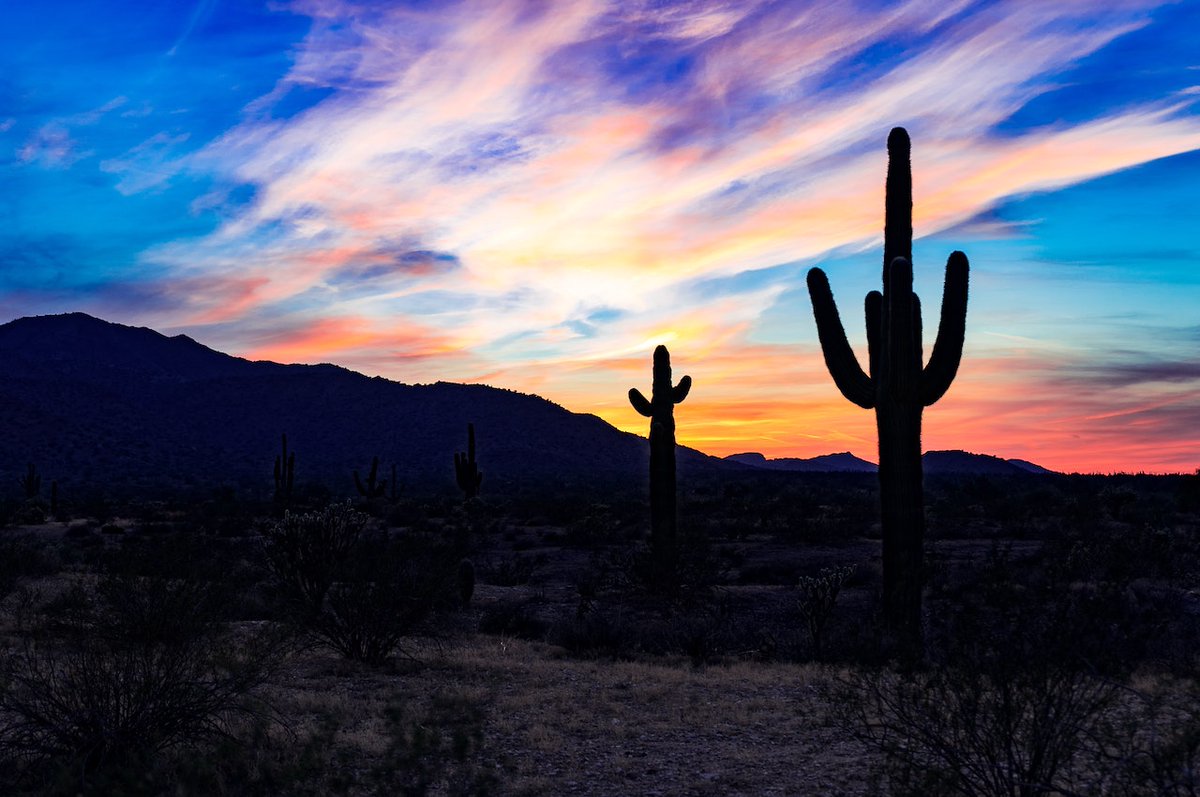 rickseaney's tweet photo. Let’s play, Future Flights! What would you pay to fly from Newark to Phoenix? We found October deals for $77 roundtrip (nonstop). Try your luck here: https://t.co/PiQWSpZwaO #Cheapflights #WhenQuarantineEnds https://t.co/tqHUE0tNv8