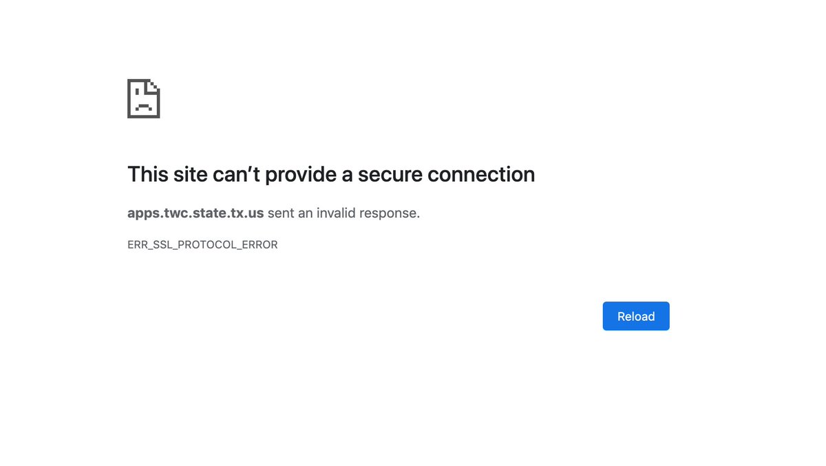 lillianshalillian tweet media