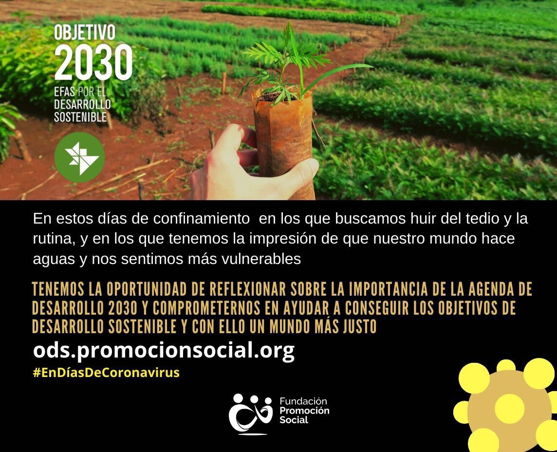 PromSocial_ongd's tweet photo. #EnDíasdeCoronavirus nuestro mundo parece + frágil y vulnerable que nunca pero podemos reflexionar sobre cómo los #ODS contribuyen a erradicar la pobreza y proteger el planeta. ¿Qué podemos hacer tú y yo? 🙋‍♀️🙋‍♂️
#solidaridadvscovid19 #ODS #YoMeQuedoEnCasa
➡️ https://t.co/3sfQjRJKX2 https://t.co/90AuNxQ36g