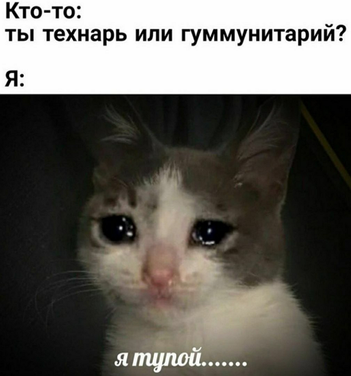 Ужасные мемы (@so_mad_so_funny) on Twitter photo 