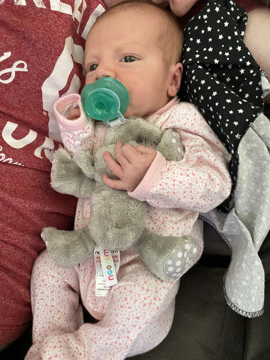 abbienicole23's tweet photo. S/o to @brenna_nduncan for her nookums because this has been a game changer. And she looks so cute cuddling the elephant🥺🥰 https://t.co/V8Rgn2OUvH