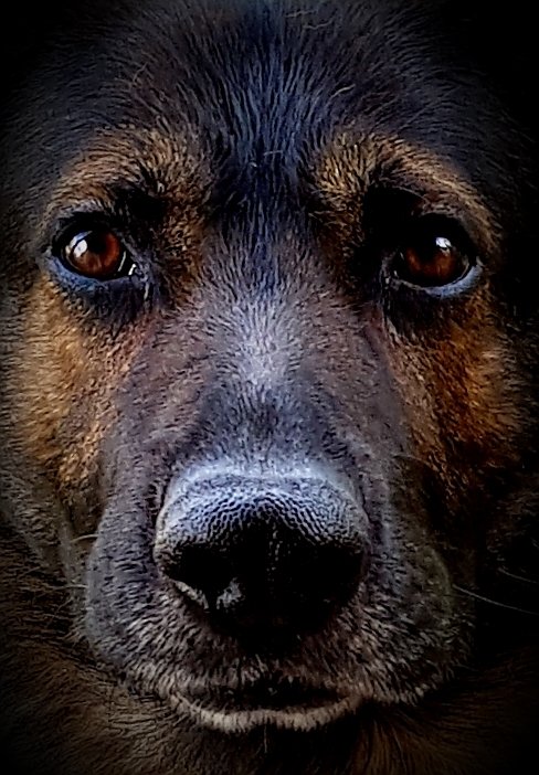 RPD Boz tweet media
