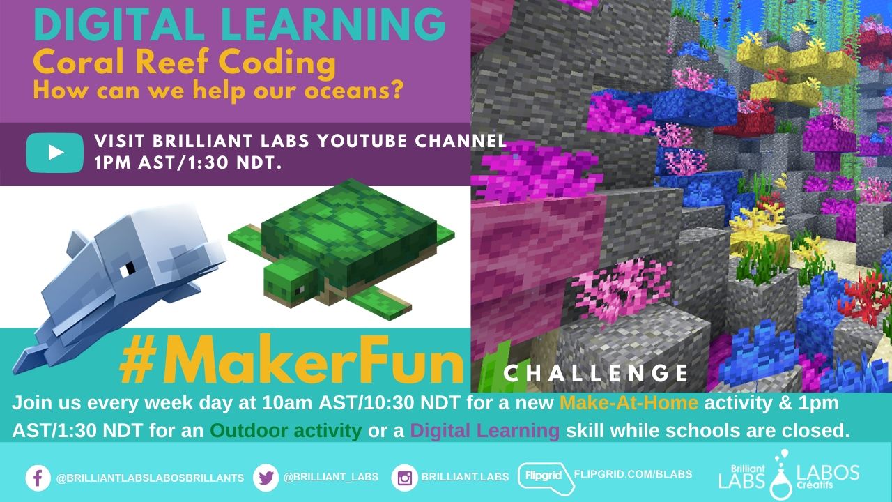 Brilliant Labs / Labos Créatifs on X: #MakerFun Digital Learning: Learn  about the dangers faced by Coral Reefs, and use minecraft to design a Coral  Reef in an ideal environment. Watch>>  @