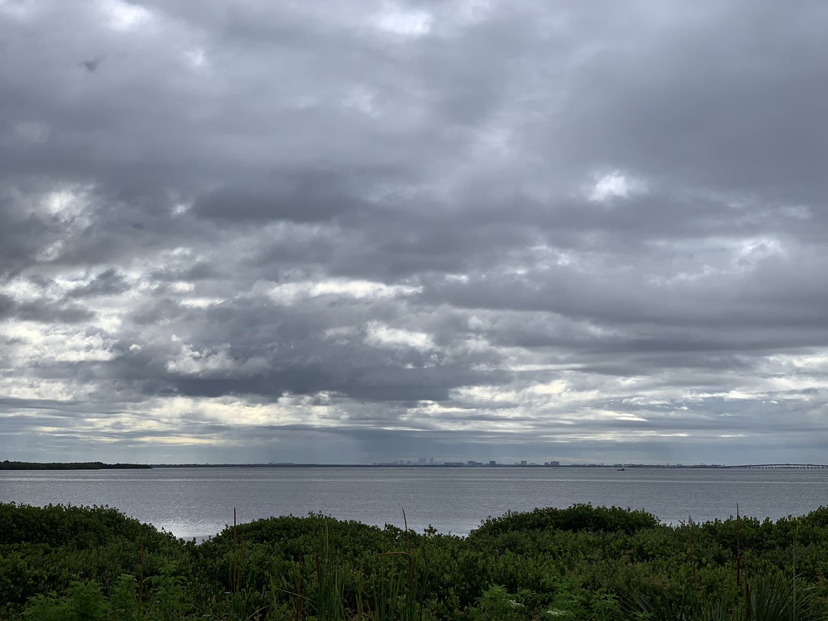 Bayshore in #SafetyHarbor this am. Keeping our distance and getting a good workout. #cleargram #flwx