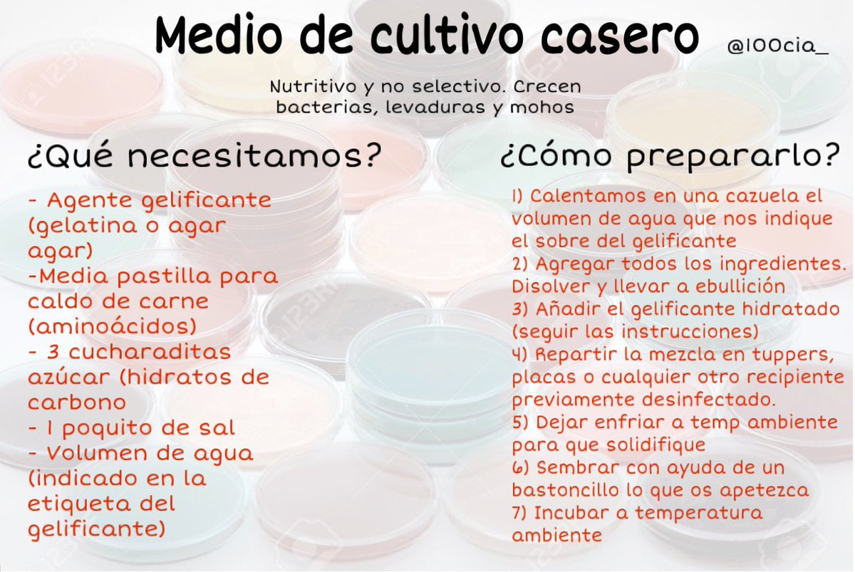 100cia_'s tweet photo. Aquí os dejo las plantillas de experimentos 100tifikos para que hagáis en casa durante la cuarentena

- Medios de cultivo
- pH metro
- Extracción ADN de células bucales
- Cromatografías https://t.co/kowtubwVBp