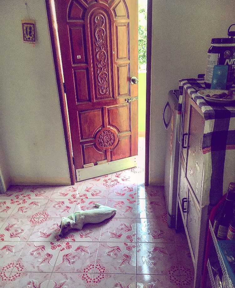 PCTM_StickyRice's tweet photo. Some days, I was stuck in my house at site. And now, I’m stuck in a house in the states. This is hard. And like our lives in Thailand, our lives here in America (especially in this current moment of tumult) will require a concerted… https://t.co/hFyCXLeXmE https://t.co/wVMULqIbqV
