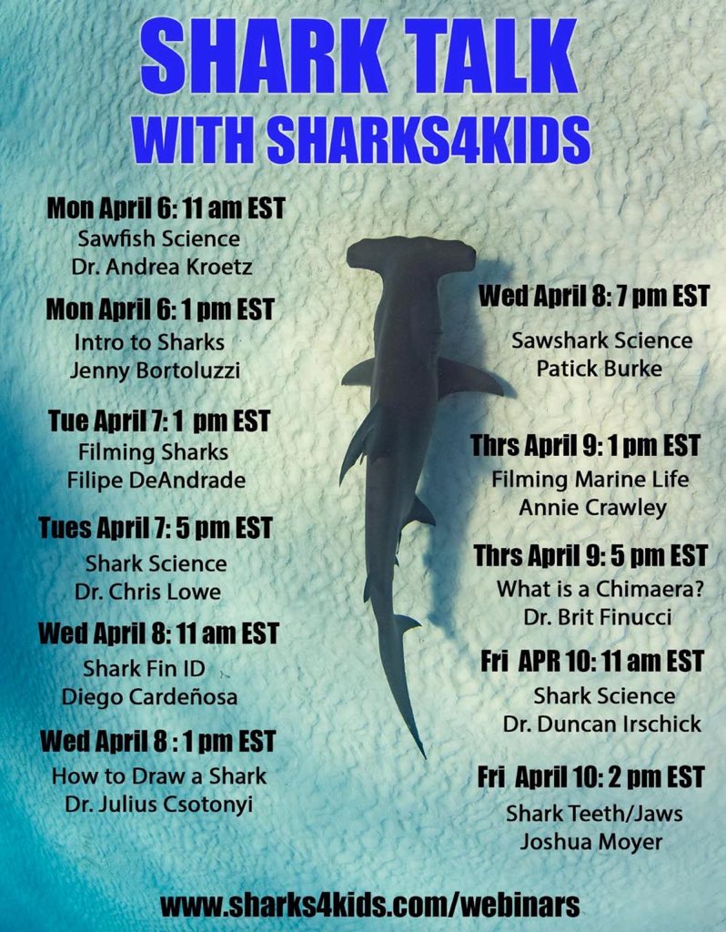 #Felizlunes y #felizsemana #Seaflower! 
En cuarentena te acompañamos desde casa, compartiendo charlas virtuales sobre nuestros #océanos! 
Del 6-10 de abril charlas de expertos sobre tiburones, a través de la página sharks4kids.com/webinars 
#YoSoySeaflower #QuédateEnCasa