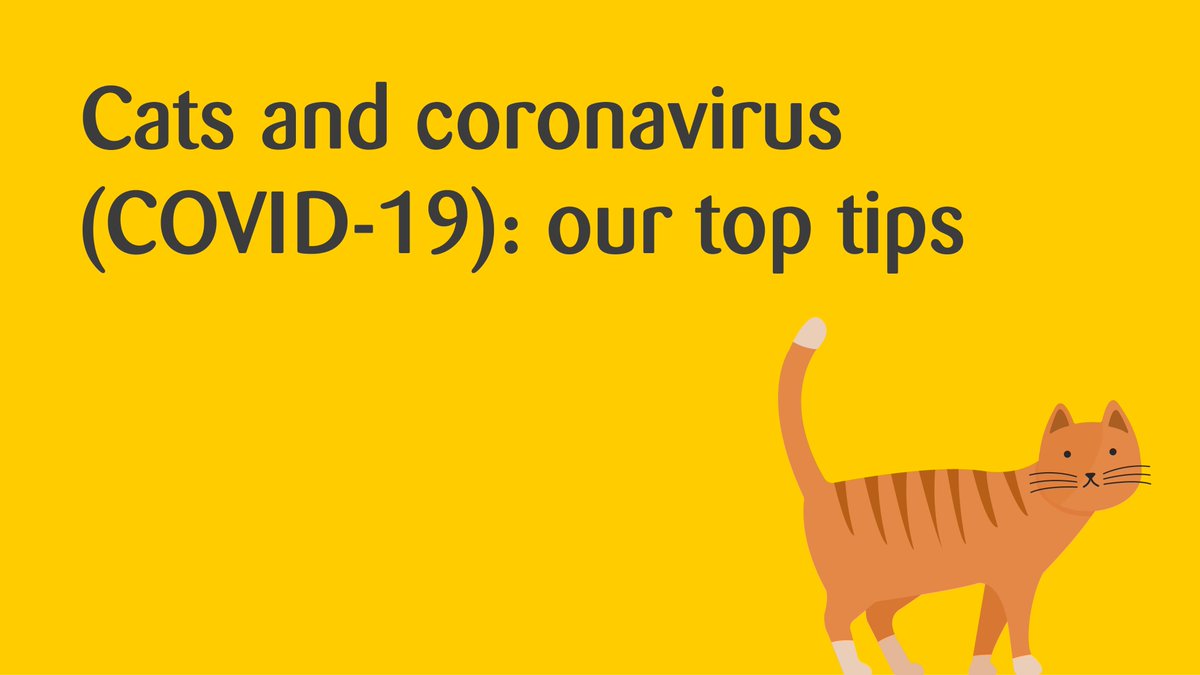 In this anxious time, we’re keen to reassure and educate  #cat-lovers about  #Covid19 and their feline friends.  Check out a few of our top tips in this thread. For more detailed, factual information direct from our veterinary team, see our website:  http://www.cats.org.uk/coronavirus .