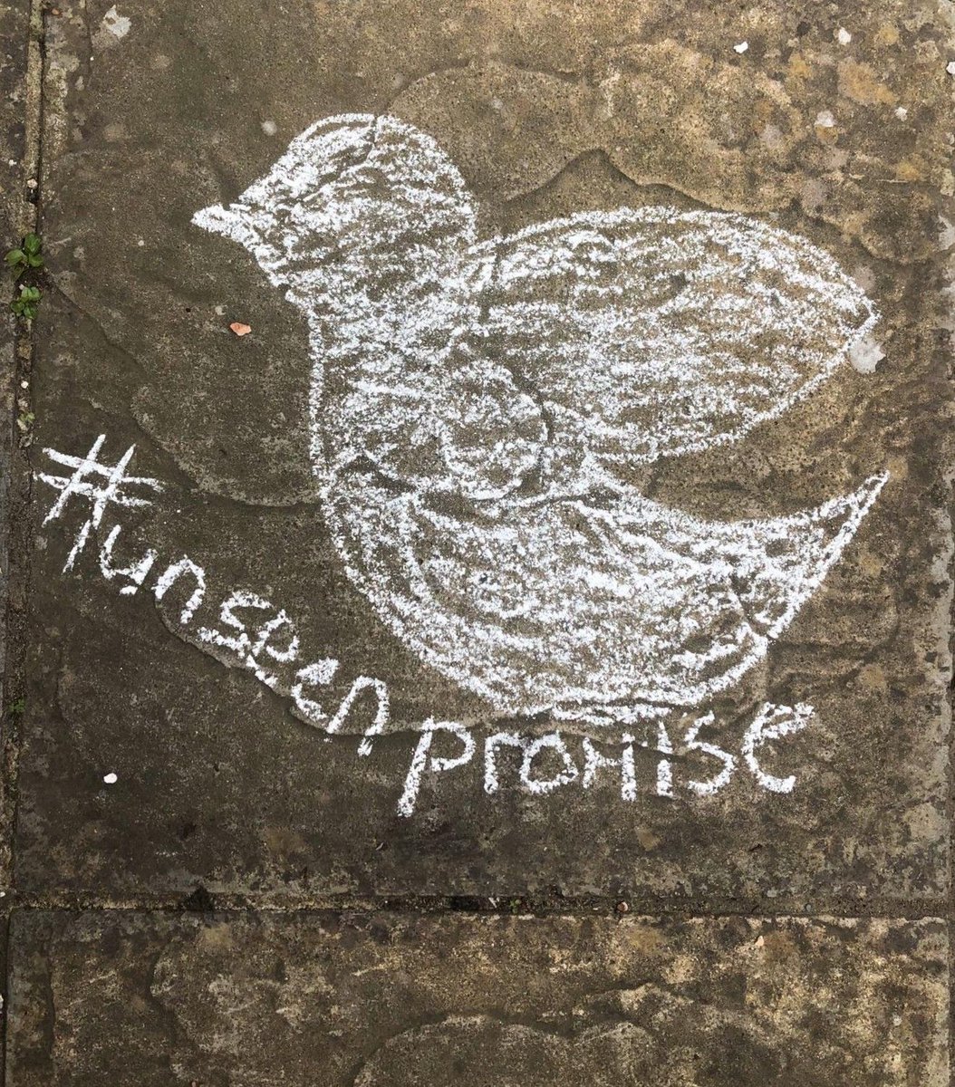 salvationarmyid's tweet photo. Loving this chalk drawing of a dove for this weeks challenge done by Deputy Director of @UkiFamily 🕊️ Don't forget you have 'til Friday to complete this weeks challenge! #UnseenPromise https://t.co/CR9Z6du0ci
