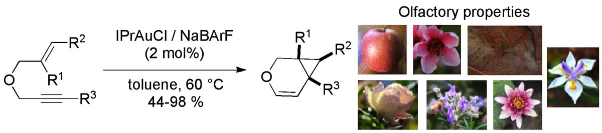 Interested in perfumes and gold catalysis ? Check out pubs.acs.org/doi/10.1021/ac… "When Gold Meets Perfumes: Synthesis of Olfactive Compounds via Gold-Catalyzed Cycloisomerization Reactions" - Well done Romain <a href="/NiceChemistry/">Institut Chimie Nice</a> ! 😀@uca_research <a href="/CNRS_DR20/">CNRS Côte d’Azur</a> @INC_CNRS