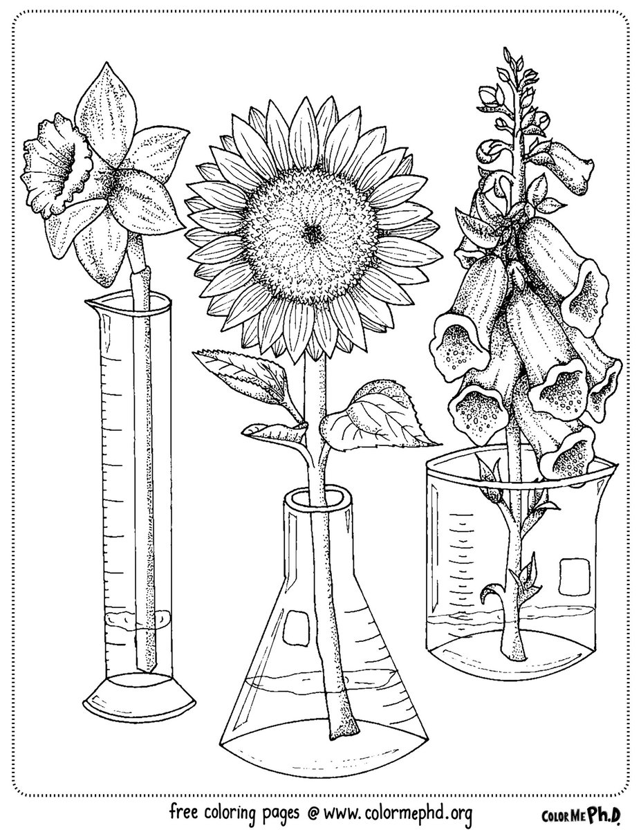 Usually we focus on educational research coloring pages, but in the spirit of relaxing stay-at-home activities, we’ve created these for you! Feel free to print, share & enjoy:  https://www.colormephd.org/coloring-pages/fun-at-home