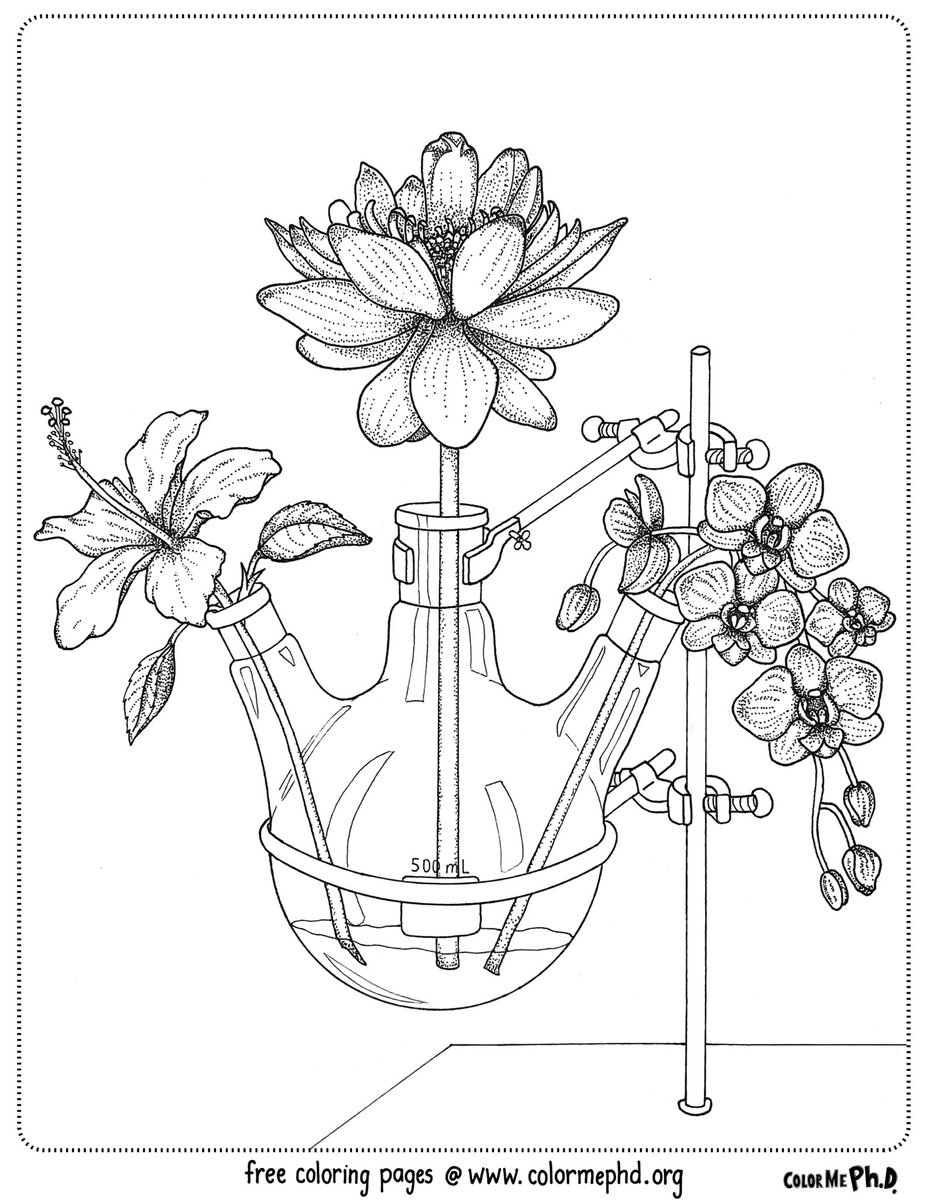 Usually we focus on educational research coloring pages, but in the spirit of relaxing stay-at-home activities, we’ve created these for you! Feel free to print, share & enjoy:  https://www.colormephd.org/coloring-pages/fun-at-home