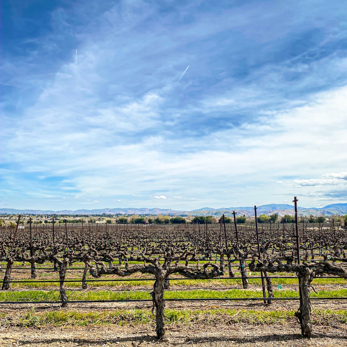 rubyhillwines's tweet image. Taking in the beauty that is Livermore Valley. #rubyhillwiner #rubyhillwines #livermorevalley #winecountry