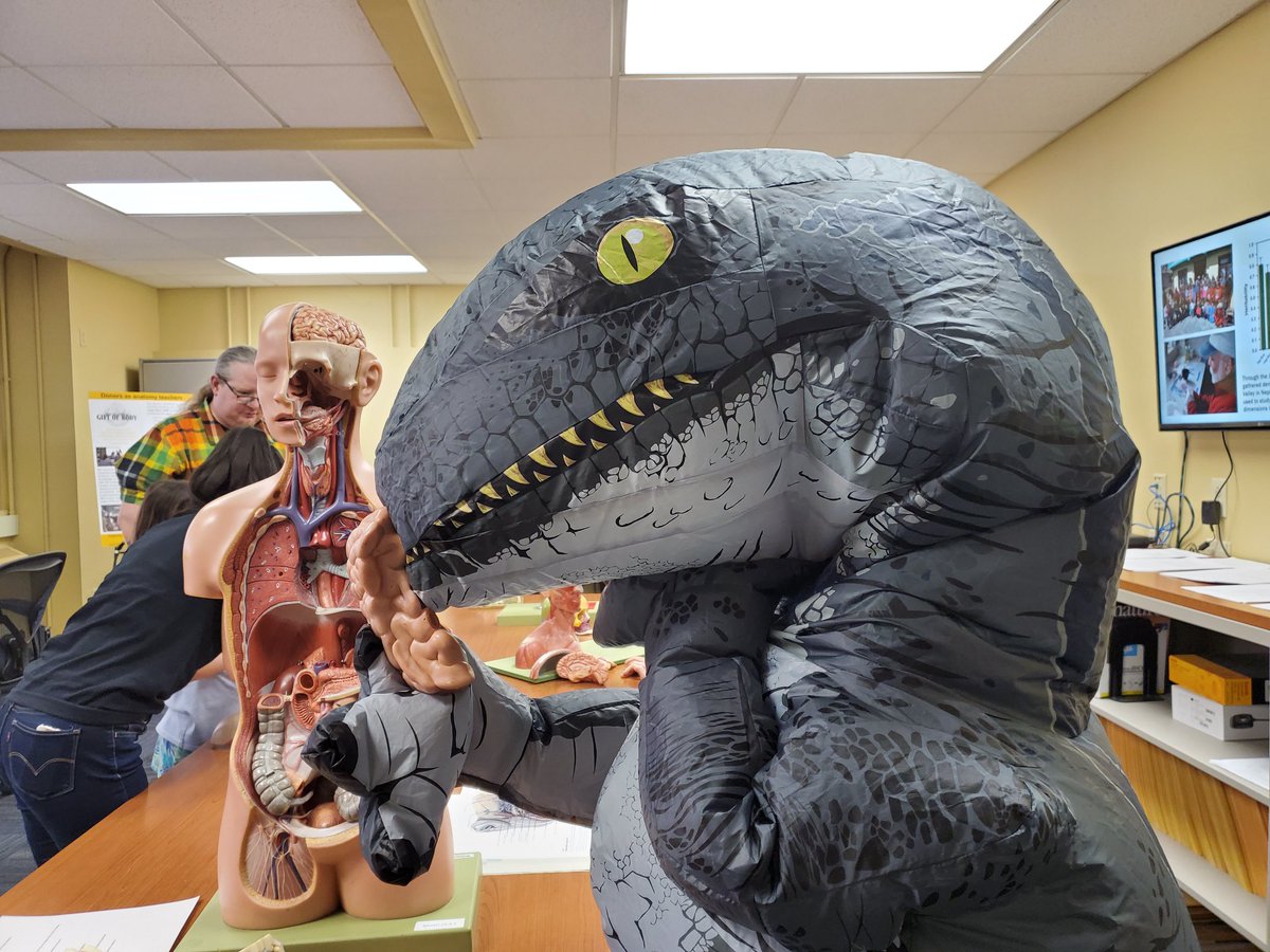 AnatomyMizzou's tweet photo. Congratulations to MU IA's Emily Lessner! She was awarded grants from both the @animbehavsociety and the Evolving Earth Foundation this past week for her research into the Evolution and Diversity of Reptile Trigeminal Nerves. @MizzouGradEd @AnatomyGrads @CrocHolliday https://t.co/dRTT37QRUa