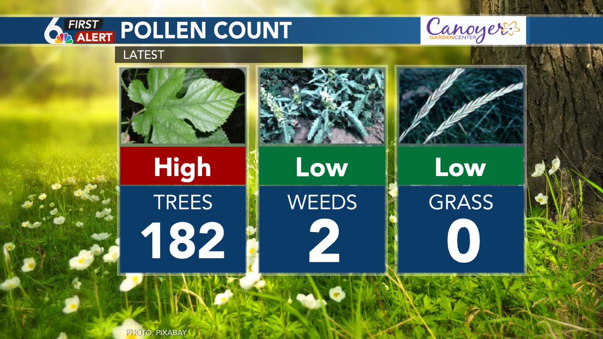 RustyLord's tweet photo. Latest pollen count numbers for Monday, April 6th https://t.co/7DcqHcTNBz