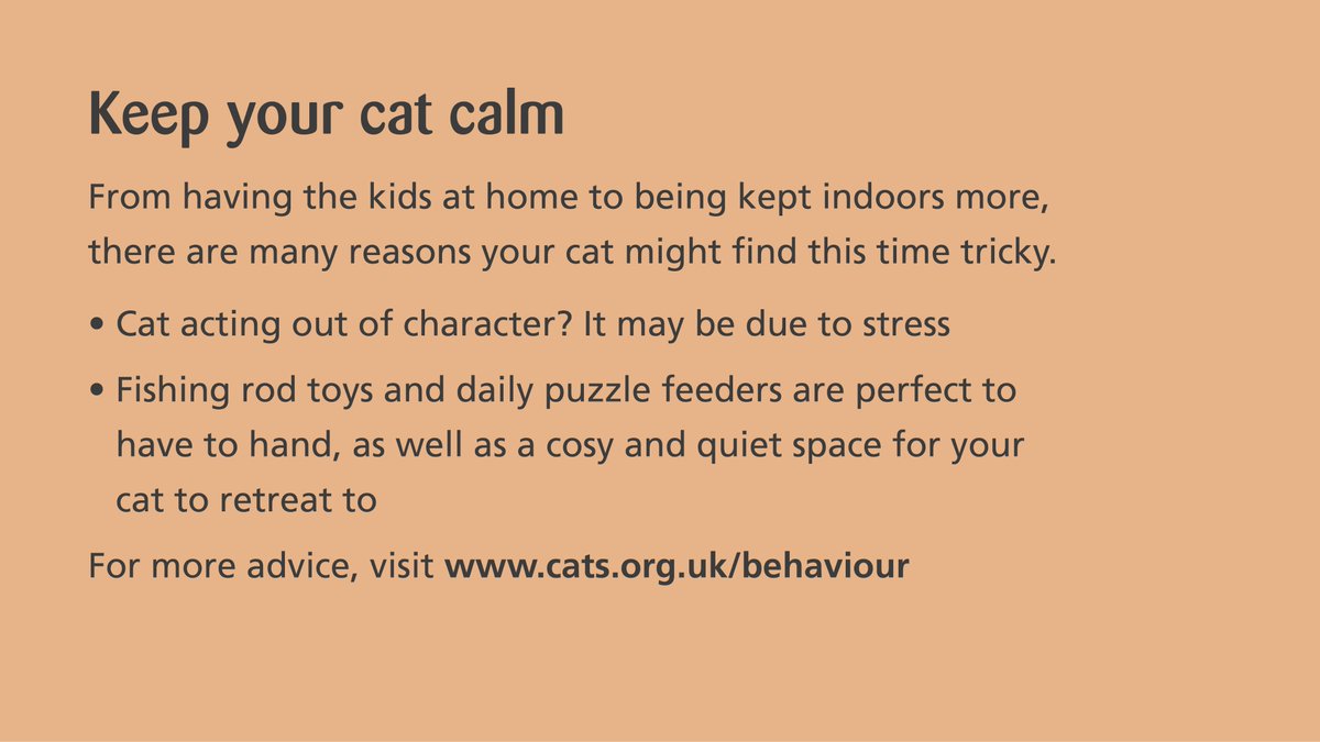 Top tip 4: Keeping your  #cat calm.  #coronavirus  #Covid19More info at  http://www.cats.org.uk/coronavirus 