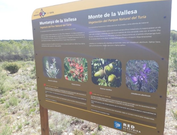InmediataXYZ's tweet photo. Hoy hace un año, visita guiada, por un técnico medioambiental del Parque Natural del  Turia y varios componentes del  Grupo de Estudios “Posición Defensiva de Valencia” (https://t.co/HKlutu3DGS), a la línea de trincheras de la Línea de la Inmediata en la Vallesa de Mandor. https://t.co/aCkeRXzO9M