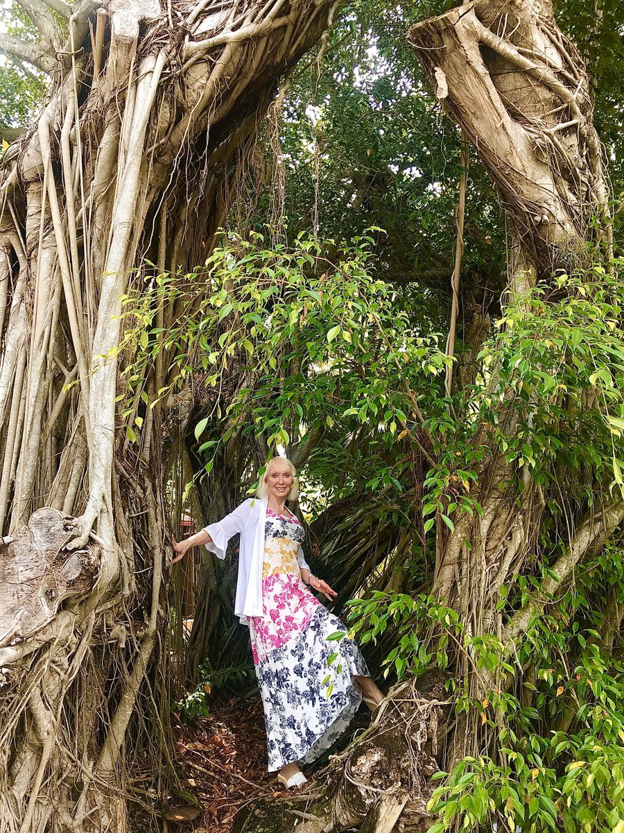 Indias National Tree