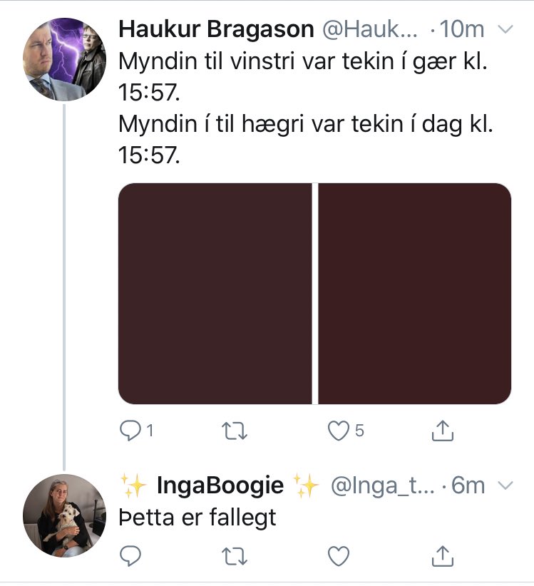 Sveinbjorn Afk Tarast Pinu Sveinbjorn Afk Tarast Pinu