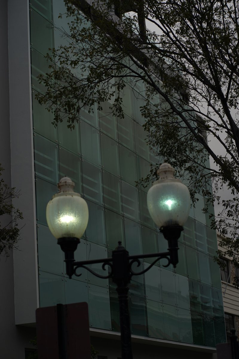 sstealth22's tweet photo. Crónicas de un 85mm: cuarentena edition https://t.co/TeDneyC6B6