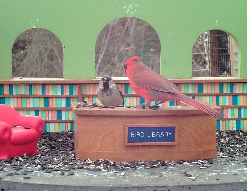 ActuaLitte's tweet photo. #confinement #restezchezvous
📚Cette bibliothèque pour oiseaux est la meilleure occupation du confinement https://t.co/oibrEyxjoz 🐦
@Library4birds #leszoizos #oiseaux #ornithologie #mangeoire #bibliotheque #birdlibrary #insolite #livecam #birds https://t.co/nfXEadYWpV