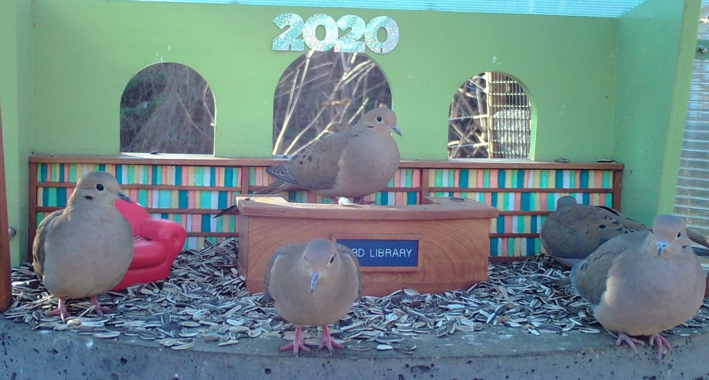 ActuaLitte's tweet photo. #confinement #restezchezvous
📚Cette bibliothèque pour oiseaux est la meilleure occupation du confinement https://t.co/oibrEyxjoz 🐦
@Library4birds #leszoizos #oiseaux #ornithologie #mangeoire #bibliotheque #birdlibrary #insolite #livecam #birds https://t.co/nfXEadYWpV