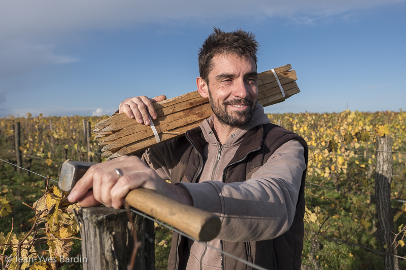 jybardin's tweet photo. Après #Muscadet et #Sancerre, retour en #Anjou, avec le portrait de Thomas Batardière :
https://t.co/NrxfE6X1uR
#Anjou #winelovers #vignerons #VinsdeLoire #Loirepower #realwine https://t.co/LFwCCPZoog