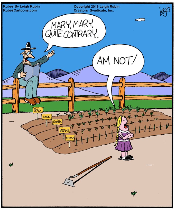 RubesCartoons's tweet photo. Are too!

#marymaryquitecontrary #gardening #garden #vegetablegarden #vegetablegardening #contrary #gardenlife #gardens #vegetables #veggies #cartoon #cartoonist https://t.co/l7ZvxpOeSe
