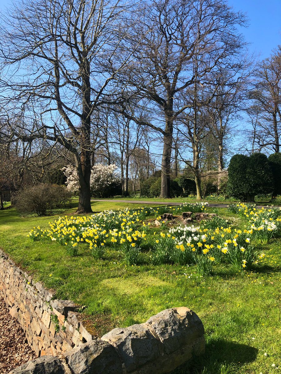ChristineVenus's tweet photo. @roydsschool 4 of 10 spring photos with George Bradley Year 8 #LLLGames #LiveloveLearn https://t.co/MBgyBr3ErO