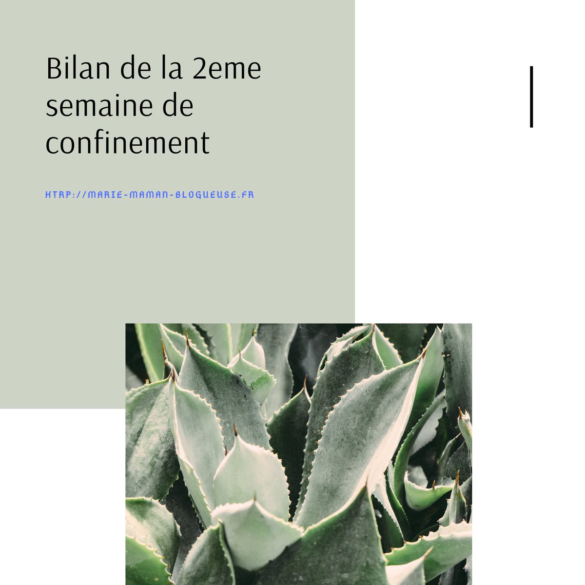 Bilan de la 2eme semaine de confinement: L'école à la maison

Le réseau internet a du mal à fonctionner chez nous. Nous n'avons pas la fibre. Accéder à L'ENT releve toujours du défi.  #activités #bilan #confinement #coronavirus #enfants #famillenombreuse # marie-maman-blogueuse.fr/index.php/2020…
