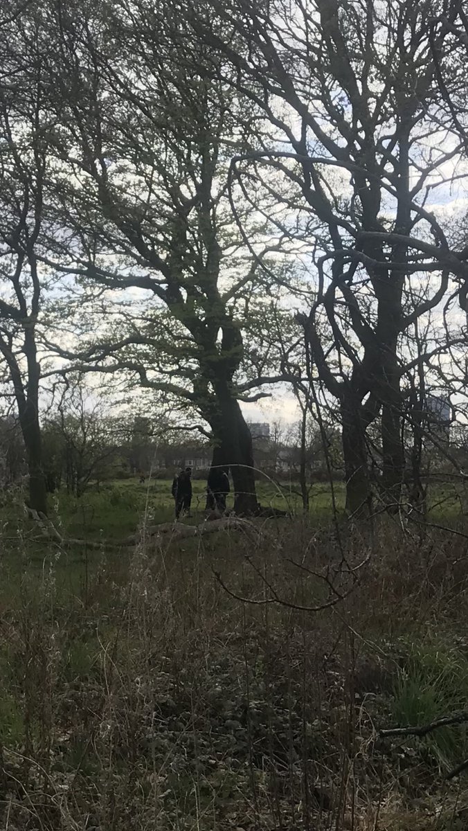 ⁦<a href="/MayorofLondon/">Mayor of London, Sadiq Khan</a>⁩ ⁦<a href="/MPSNewham/">Newham MPS | North East BCU</a>⁩ ⁦<a href="/cityoflondon/">City of London</a>⁩ ⁦<a href="/CoLEppingForest/">Epping Forest</a>⁩ so many groups of weed smokers not giving a shit about social distancing