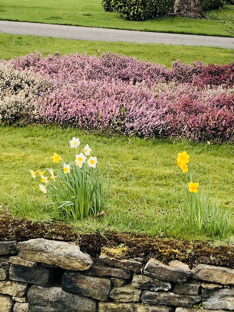 ChristineVenus's tweet photo. @roydsschool another 4 of 10 spring photos with George Bradley Year 8 #LLLGames #LiveLoveLearn https://t.co/z7rt1bazg0