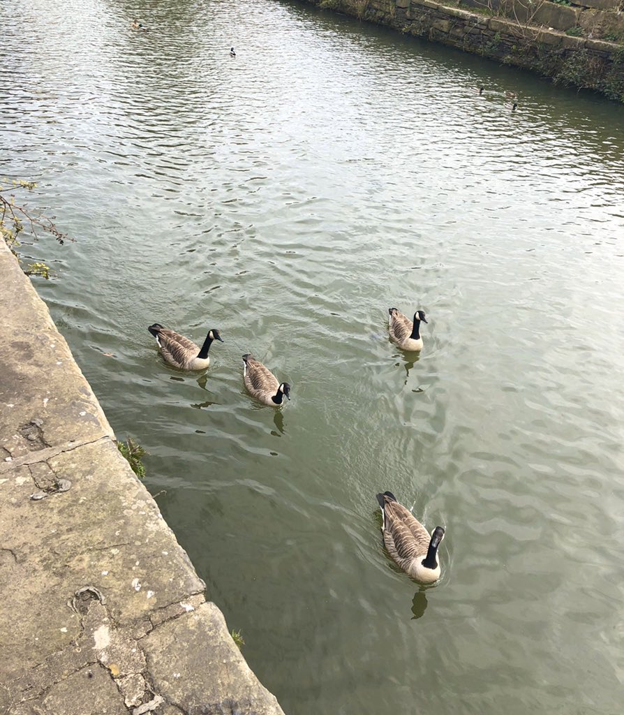 ChristineVenus's tweet photo. @roydsschool another 4 of 10 spring photos with George Bradley Year 8 #LLLGames #LiveLoveLearn https://t.co/z7rt1bazg0