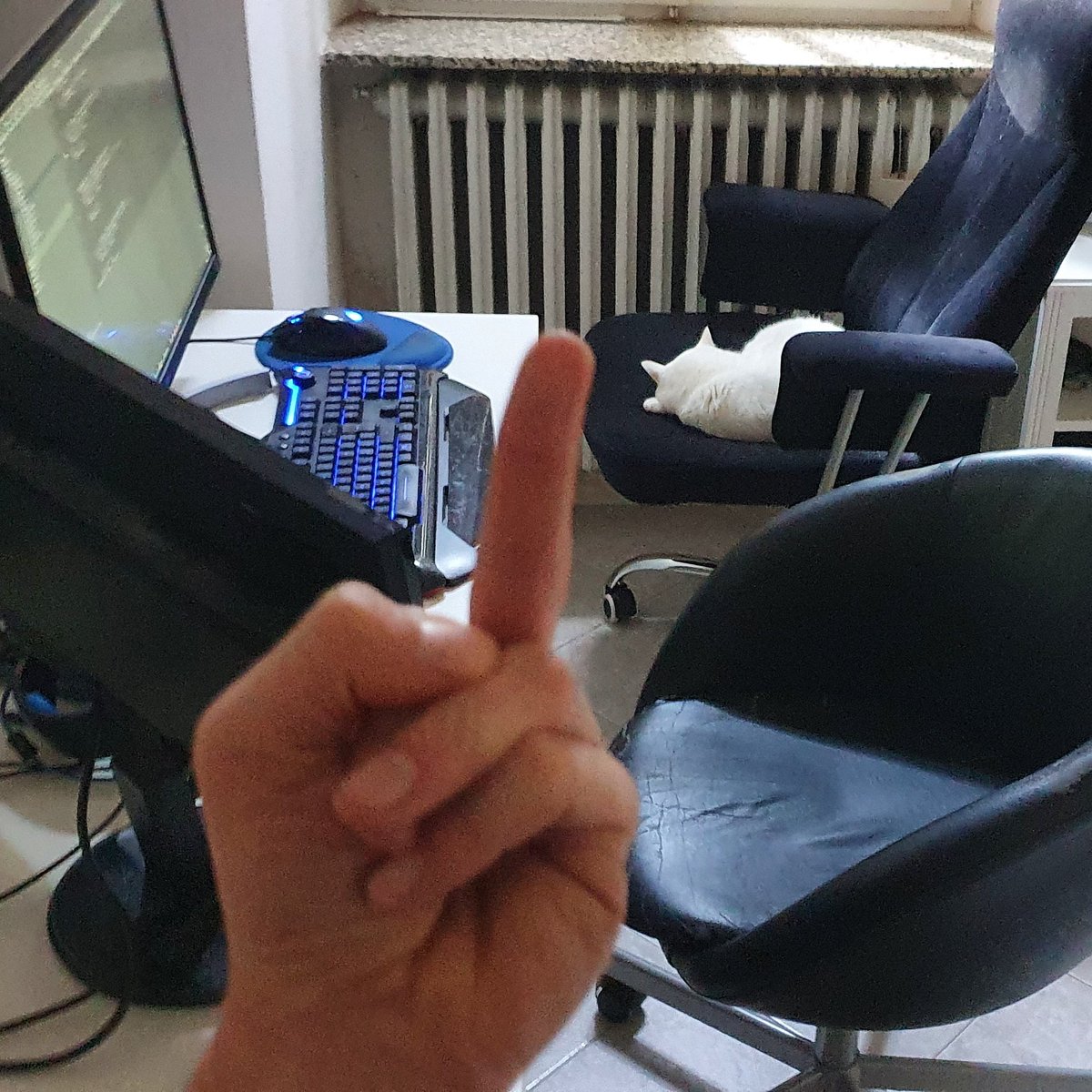 evilripper tweet picture