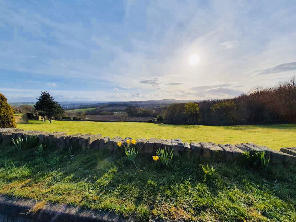 ChristineVenus's tweet photo. @roydsschool last 2 of 10 spring photos with George Bradley Year 8 #LLLGames #LiveLoveLearn https://t.co/BLhRajX2qf