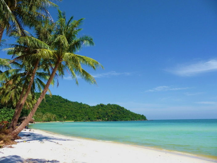 AdvMachineSC's tweet image. If we weren’t on lockdown and could be anywhere in the world right now, where would you be?

Personally, I’d rather be lying on a beach somewhere in Southeast Asia! 🏝️