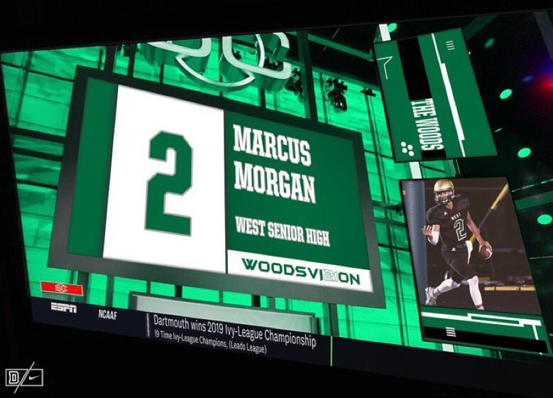 Marcus Morgan tweet media