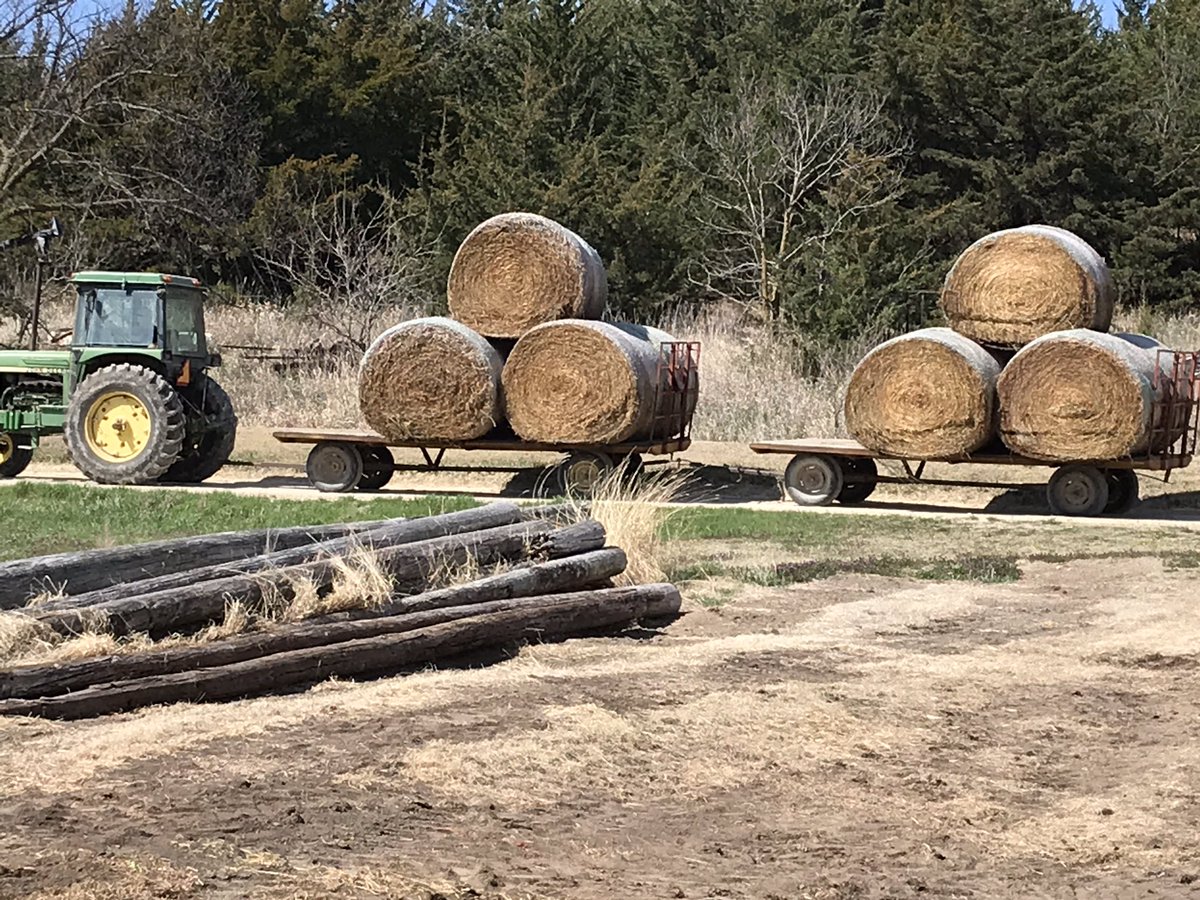 Shale Porter tweet media