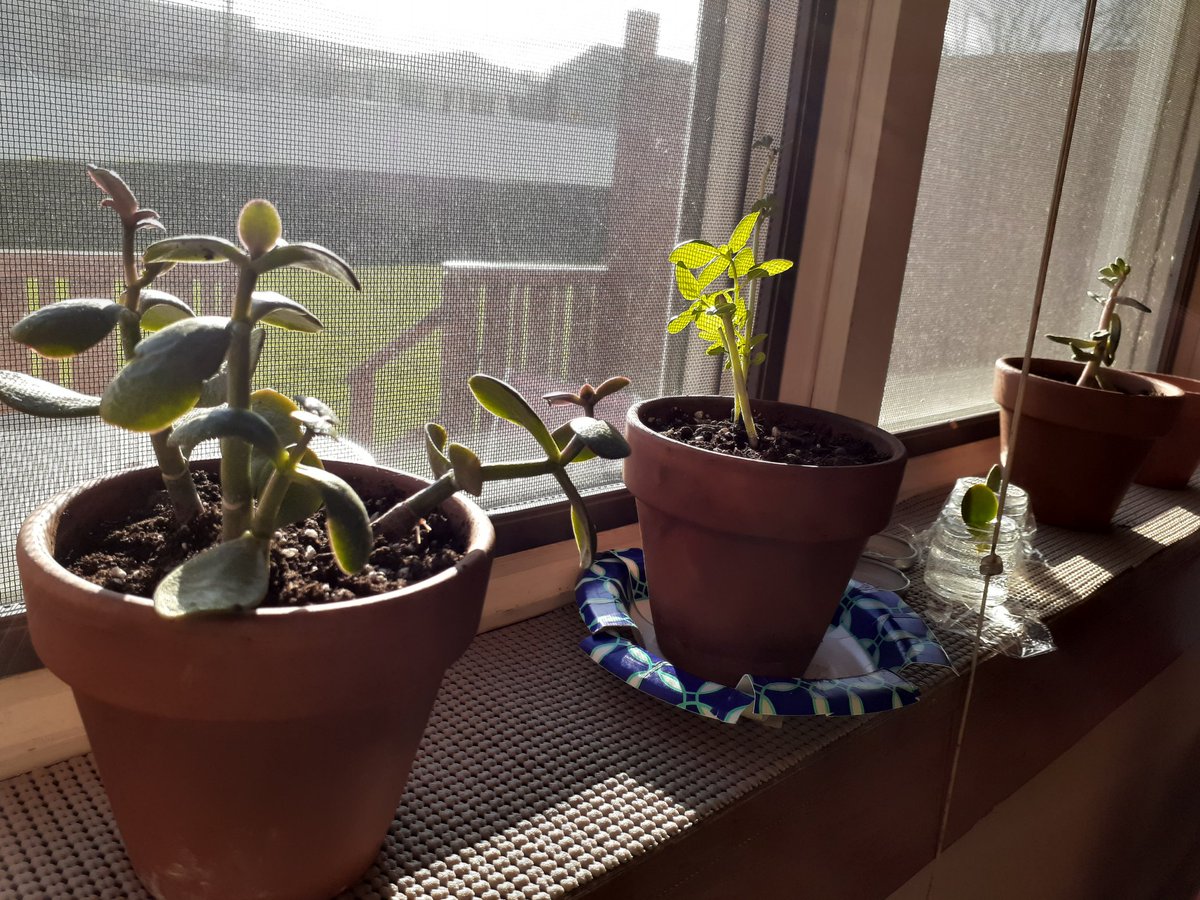 Kaitlin Liszka tweet media