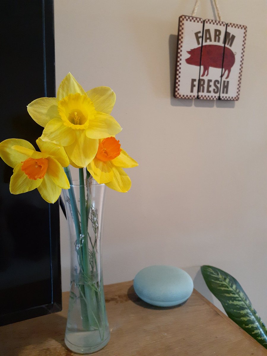 Kaitlin Liszka tweet media