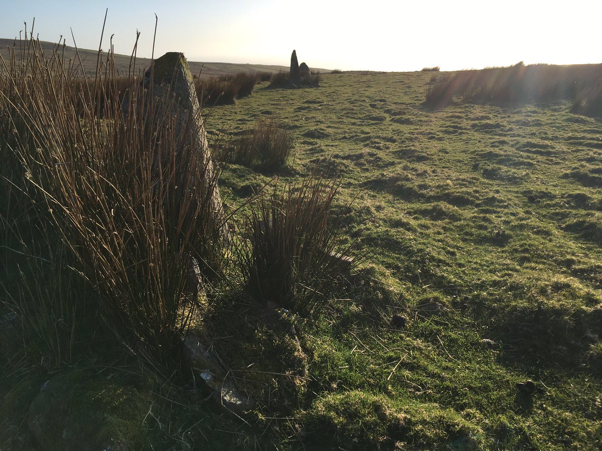 Past lichen-encrusted standing stones preserved in wall aspic, hemmed in by more walls and gates,but I’m so lucky to wander, to exercise, and walk further still up to the first sight of the Waen Oer (cold moorland)stone row and cross another gated boundary into the field (3)