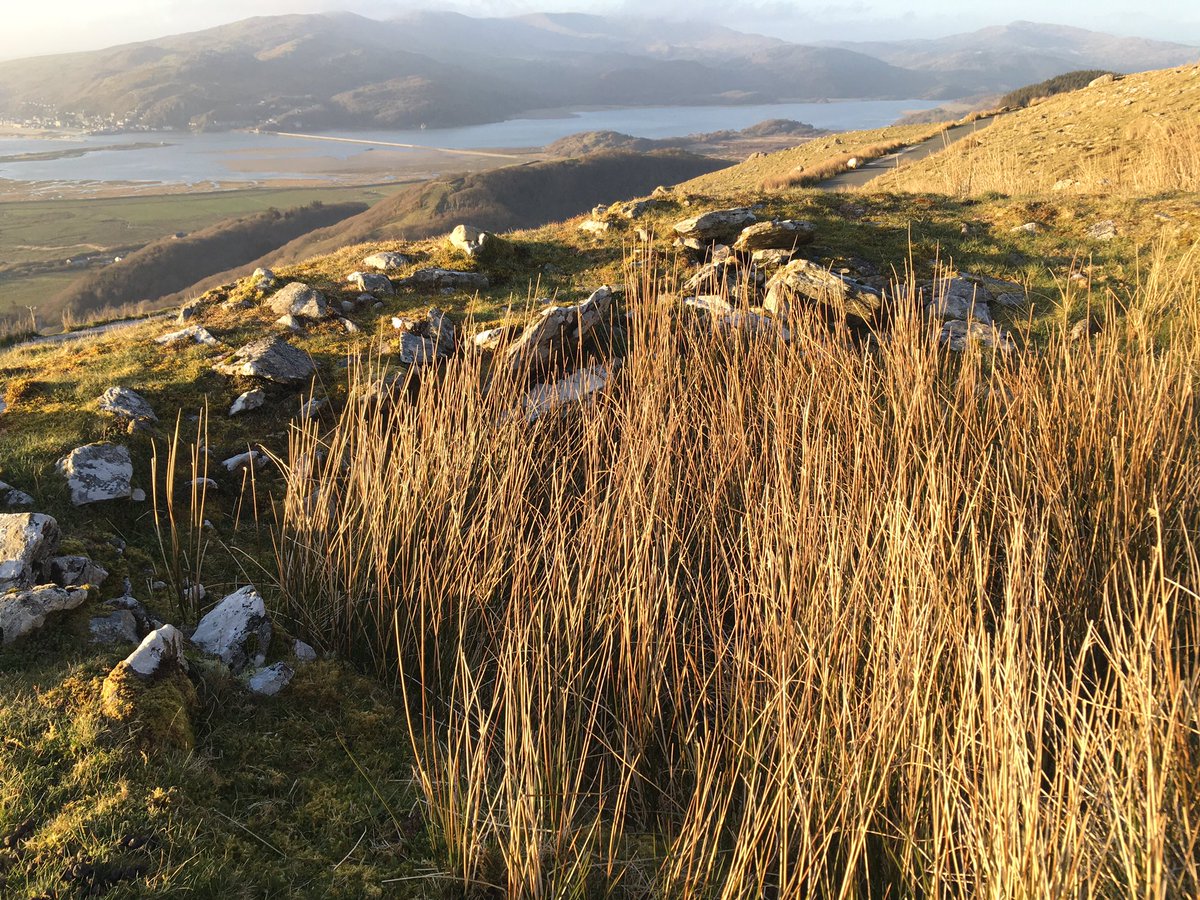 To the panoramic viewpoint over the Mawddach Estuary with mock Neolithic tomb and very recent scattering of ashes and just off the road I find for the first time a real cairn, pos Bronze Age - definitely robbed, this nothing-hill always offers me something new, every time (5)